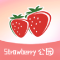 草莓公园